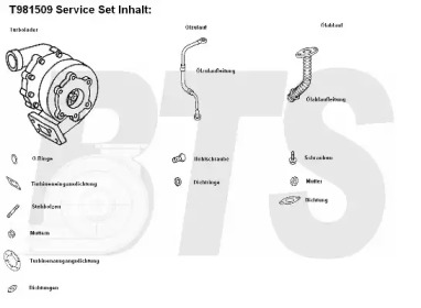 Компрессор BTS Turbo T981509